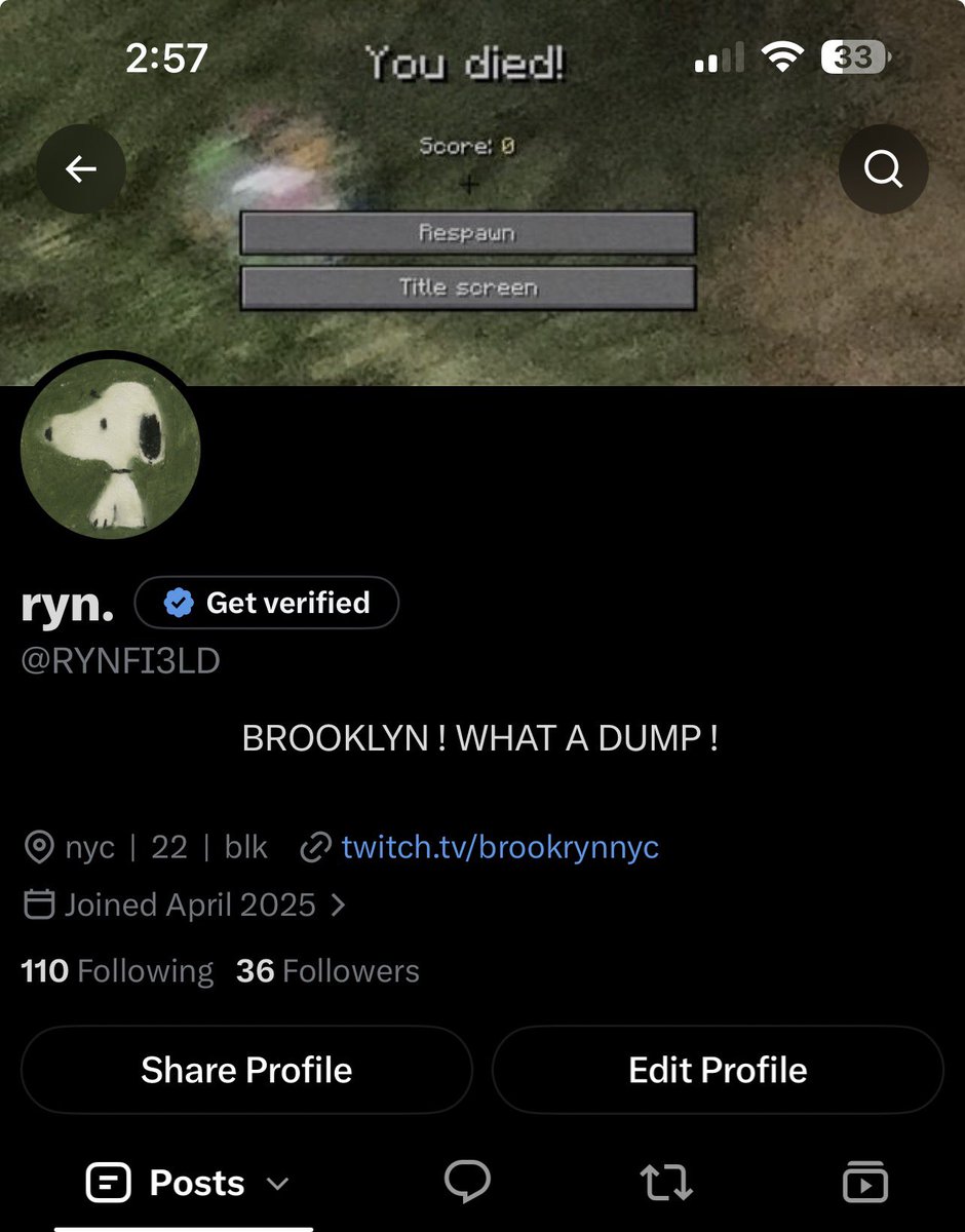 RYNFI3LD's tweet photo. idk if i like light or dark mode better i wish there was a green mode https://t.co/nVct32p2V1