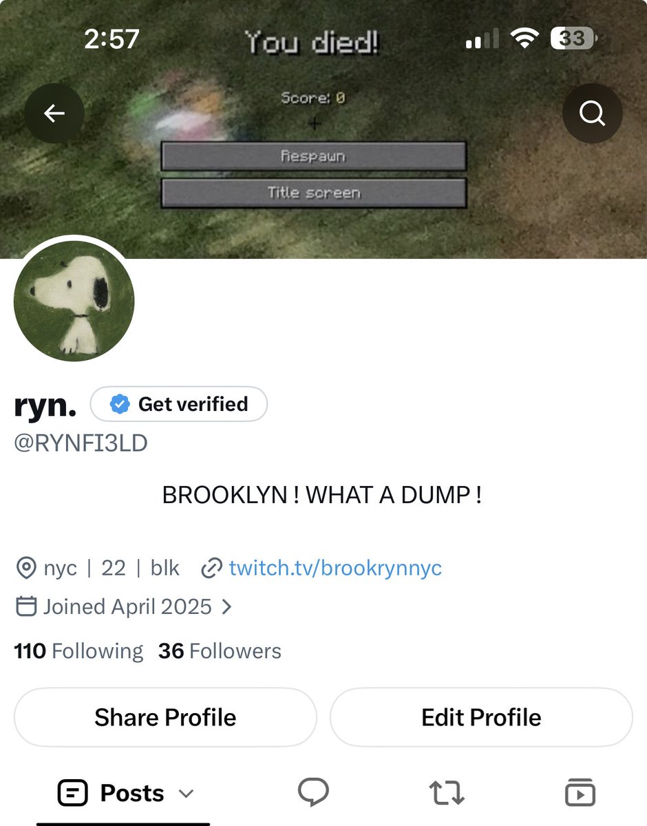 RYNFI3LD's tweet photo. idk if i like light or dark mode better i wish there was a green mode https://t.co/nVct32p2V1