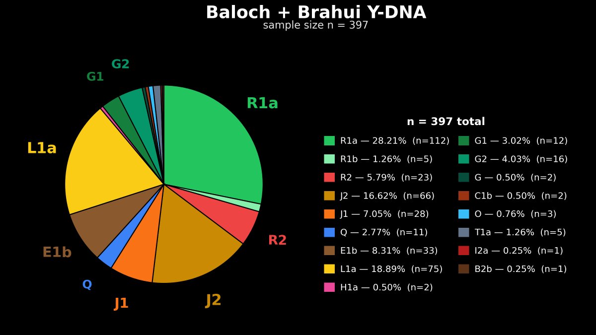 Afghan_DNA's tweet photo. Updated Y-DNA chart for Baloch and Brahui populations.

The dataset now includes 397 samples (n=397), with a substantially larger representation of Western Balochs. Compared with Balochs from Eastern Balochistan, Western Balochs generally show higher frequencies of J2a, E1b, G1, and J1. Also they tend to be lower in R1a and especially R1a-L657.

We will later publish additional charts examining the origins and distribution of specific clades, particularly those that have been confirmed through Big Y-700 and WGS testing.