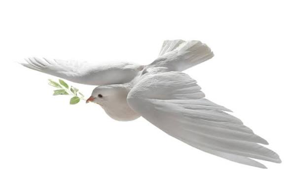 HadishMiki's tweet photo. Tigray cannot become a place where civilians pay the price again.

STOP THE WAR NOW.
Amnesty,the UN and the international community must act immediately.Protect civilians.Stop abuses.Demand peace
Act before more lives are lost. Enough is enough 
#Tigray #StopTheWar #HumanRights https://t.co/ORPvPifuTd