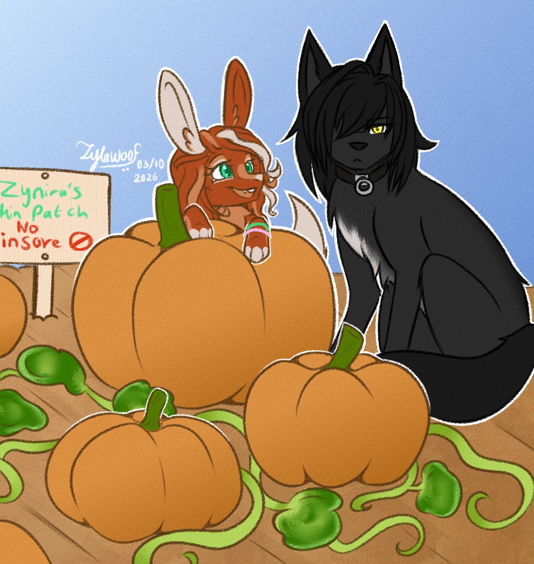 ZylaWoof's tweet photo. 🍂 Sketchtober Week 1 - Cozy vibe
Day 3 - Pumpkin Patch 
---
If you ever step on her(🐰) patch, she'll (🐺) bring you down.

✨{#art #furry #furrtart #oc}✨ https://t.co/ZVDEDHXfI1
