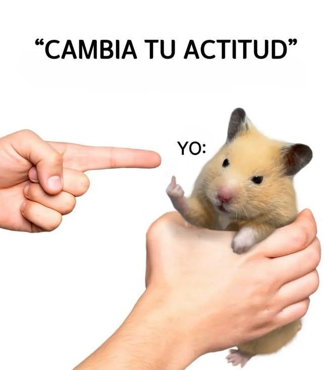 AlejandraN56289's tweet photo. Se me hace que no https://t.co/yijjHaSNps