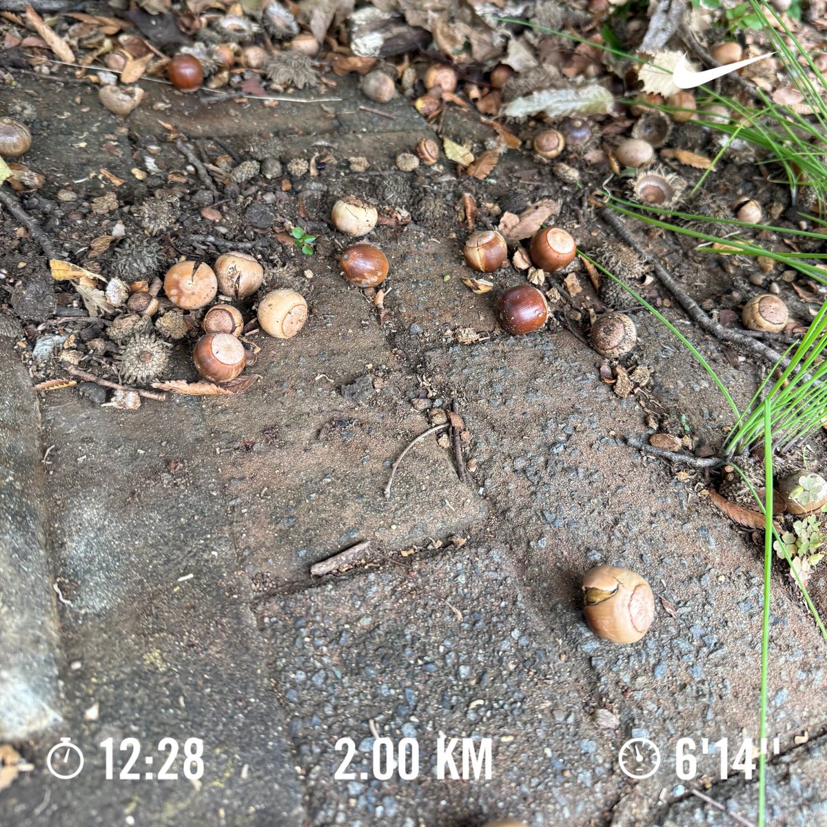 runrunrunning21's tweet photo. ランニング🏃　#856走目 https://t.co/J2dXEFHBB8