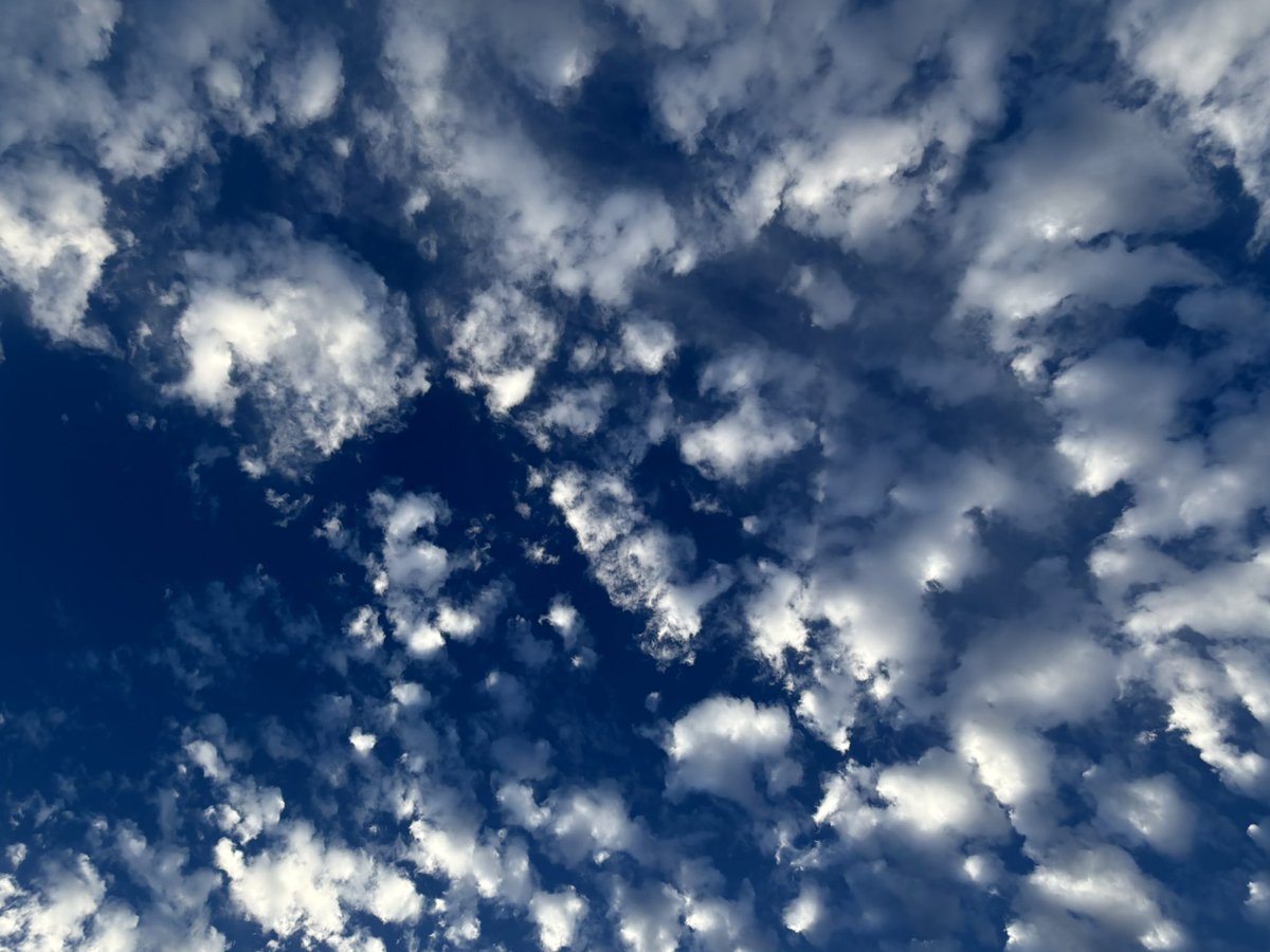 _mizucy_'s tweet photo. ちょっと前に実家に帰ってました。恒例の出雲大社と稲佐の浜散歩。とてもリフレッシュになりました。楽しかったー！ https://t.co/04g61N9PoQ