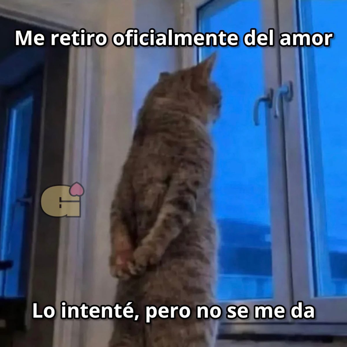 sal7066's tweet photo. Lo di todo https://t.co/YA3zVqJDgF