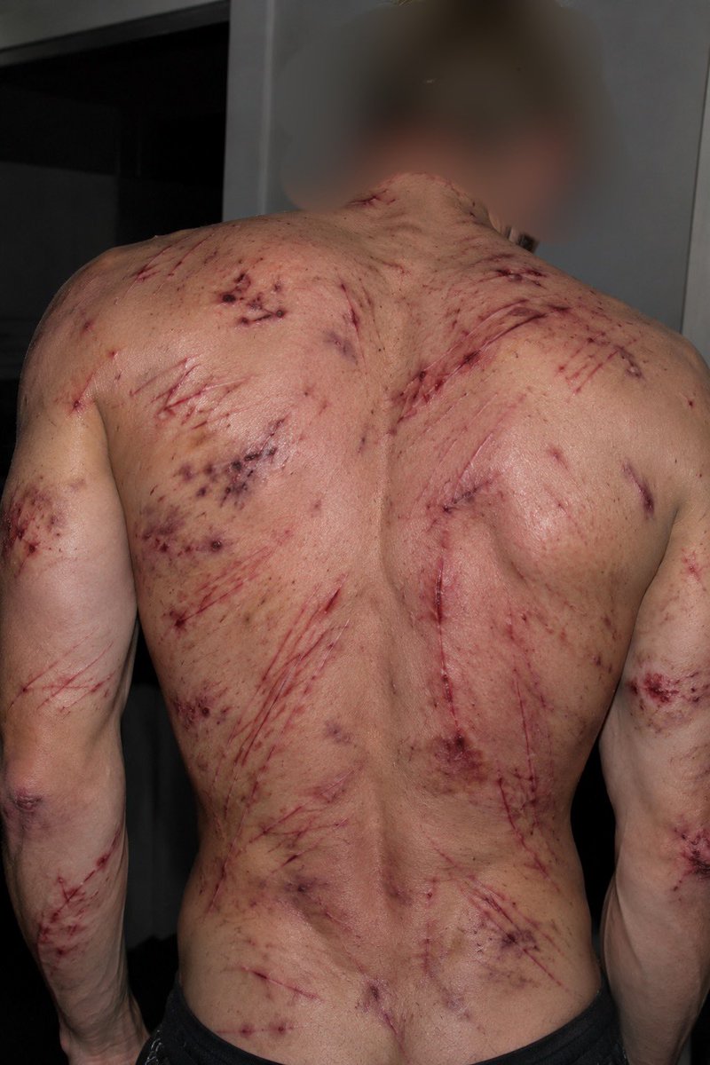 Gianluca_Pig's tweet photo. I cannot rebel against my #master — #pain, #bites, #scratches, #beltlashes, #bare-handed #beatings #scat #fist #extreme #humiliation #degradation #bastard #slave #sub #top #alpha #muscle #toilet #animal #zoo #piss #shit #gay #nopity https://t.co/wfasFn4GMG