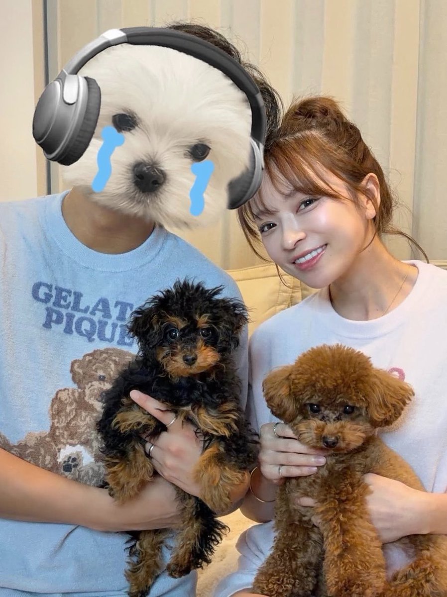 AulMiss's tweet photo. ほまにそう‼️これ、研磨剤フリーだからホワイトニング効果とツヤを出せて、削らずに超微細シリカで汚れを「吸着して落とす」タイプなの。歯の表面を傷つけずに白くしてくれるんだから。さおりんが根拠。 https://t.co/mfFAXMmPeL