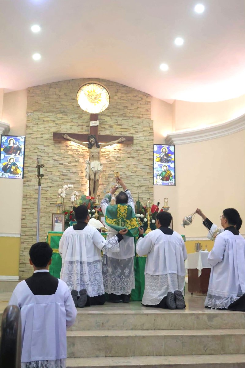 UnaVoceSevilla's tweet photo. Decimonono Domingo después de Pentecostés. I Octubre

"Confitémini Dómino, et invocáte nomen ejus: annuntiát inter gentes ópera ejus2

(Dad gracias al Señor, invocad su nombre, dad a conocer sus hazañas a los pueblos)

#MisaTradicional #LatinMass #Tradicion #Evangelio #Jesucristo https://t.co/GSogZoCqPw