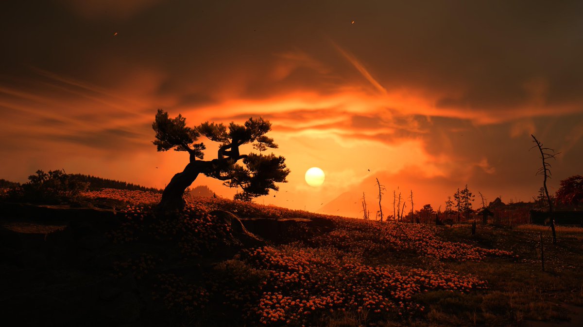 OrangeCat_Night's tweet photo. Ghost of Yotei 
Gaming is more than Art 🎨 
PS5 Pro https://t.co/7LetMm17dE