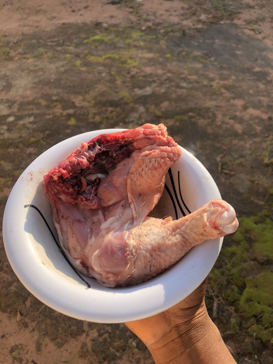 twtsbyfinewine's tweet photo. I bought this chicken for 1k 

Hope it’s worth it? https://t.co/Lg5eqcBkqF