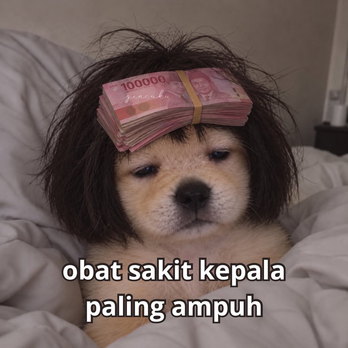 qincuku's tweet photo. https://t.co/bsaK1UQrXn
