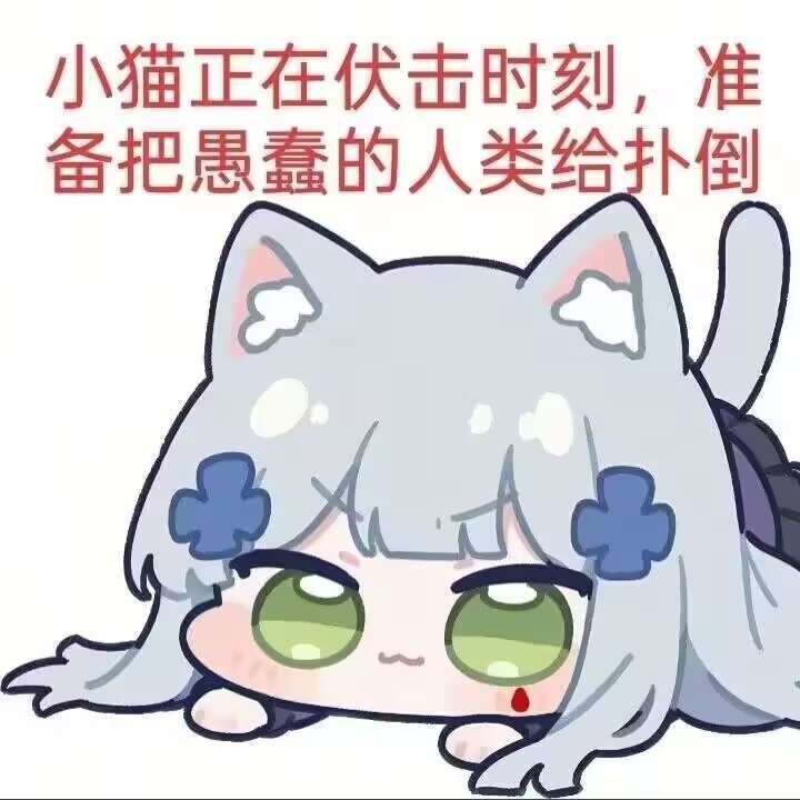 CherryBlossGir's tweet photo. 看到这个帖子的都是猫娘 https://t.co/CwjyHwvXaS