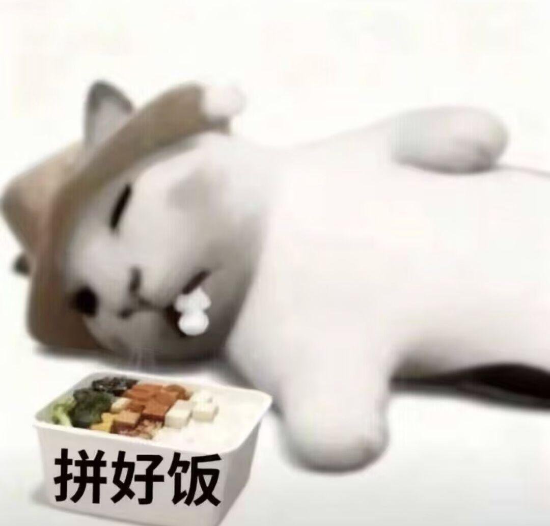 User_akongbai's tweet photo. 想变胖，但我只吃得起廉价拼好饭，吃拼好饭中毒了患上了厌食症，大多数一天只吃一顿饭有时两天吃一顿饭，每天虚弱无力瘦如柴骨，我感觉我要死了😭 https://t.co/co4pvEam8J