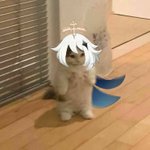 Photo by ˚₊‧ 𝐩𝐚𝐢-𝐩𝐚𝐢 ✦ (@paimogem)