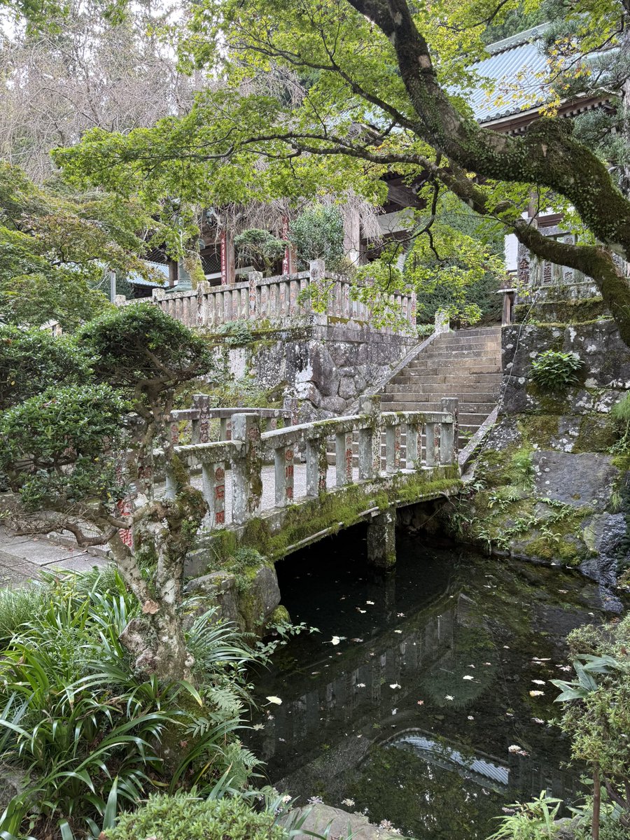 mika_sanosuke's tweet photo. 今年も、天狗のお寺『大雄山最乗寺』に行ってきた。
相変わらず自然豊かで、相変わらずえげつない階段を登る。
心が引き締まるな。
#児童文学 #大雄山 #自然 https://t.co/ATYXvPHlae