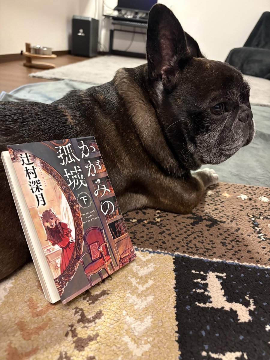 vanilla37491271's tweet photo. 『鏡の孤城』下巻、読了。
最後の伏線回収が本当にヤバい！
「あれ、そういうことだったのか…」って、読み終わってから上巻まで戻りたくなる。
切なさも温かさも全部詰まってて、最後まで読んでよかったと思える一冊でした。
#読了
#本好きさんと繋がりたい https://t.co/SOyKFSWHZV