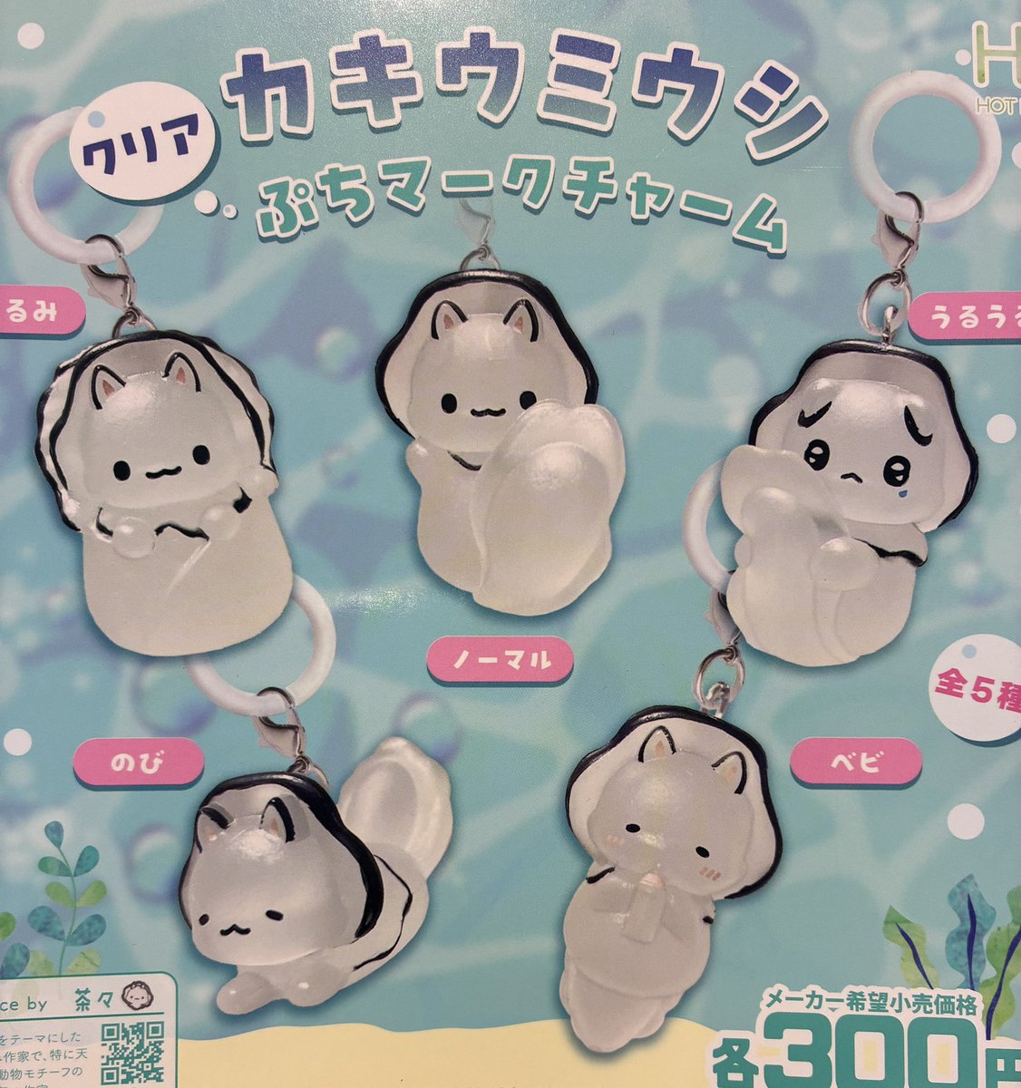 高崎オーパの入荷情報の写真