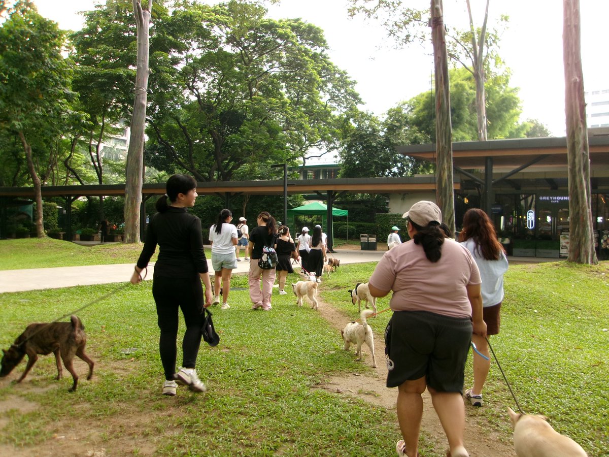 knicknick_'s tweet photo. celebrated hannie day a little differently this time 🐾
thank u for organizing @zkdlscoups and collaborating with adopt biyaya 🫶🏼 it was a very heartwarming (and active 😆) day for me 🥹
#PlayWithYoon 1004 💗 https://t.co/nQVRUJBoA1