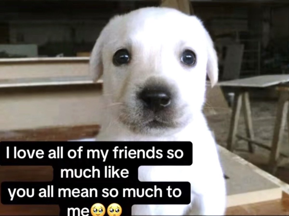 fruitpibble's tweet photo. thank you for being my friend https://t.co/EOd5zT6BNW