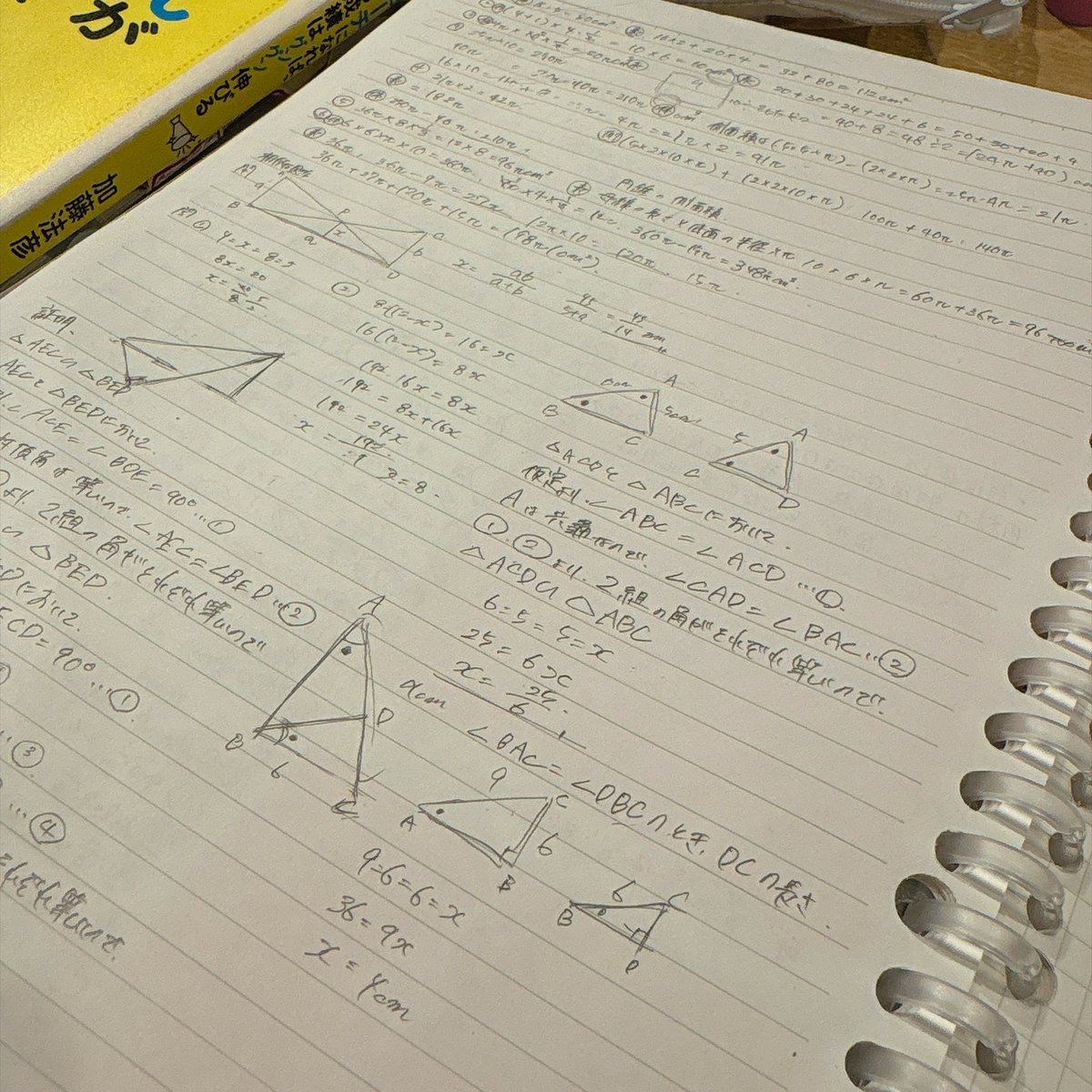 Kuma_oHaTi's tweet photo. 今月仕事でテストあるからまさかの中学範囲復習

高校数学やりたい。 https://t.co/IUh5Hwa8ef