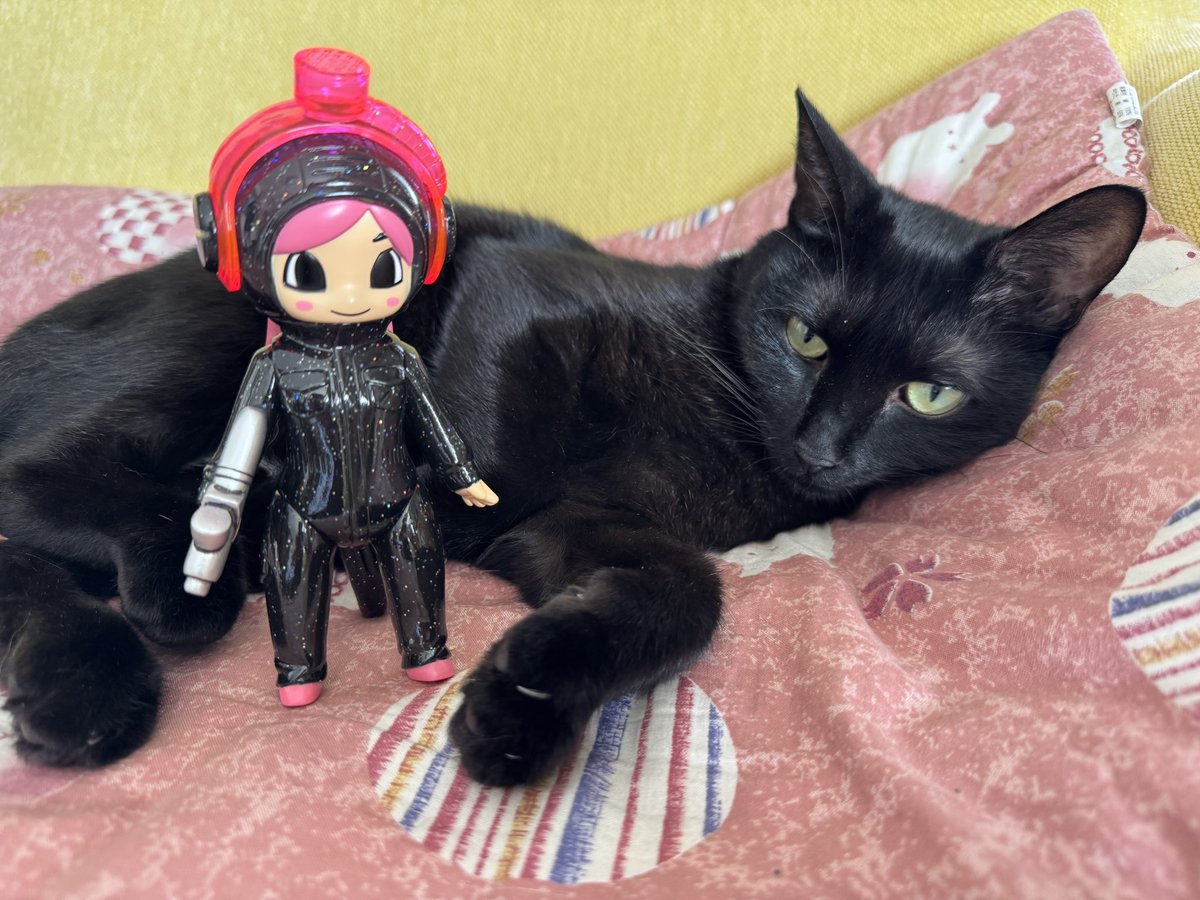 moja_sofvi's tweet photo. バケタンブログさんのスーパーさくらが届きました
ラメブラックとクリアピンクの組み合わせが可愛すぎて、当選に感謝です✨
ヘルメットのギミックが楽しくて、ついカパカパやってしまう
#バケタンブログ
#スーパーさくら
#ソフビ https://t.co/3y0izDfYll