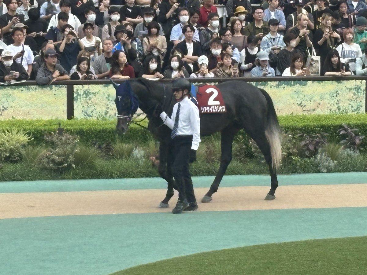 clm_160_y's tweet photo. シリウス頑張った https://t.co/VXDz09N5jI