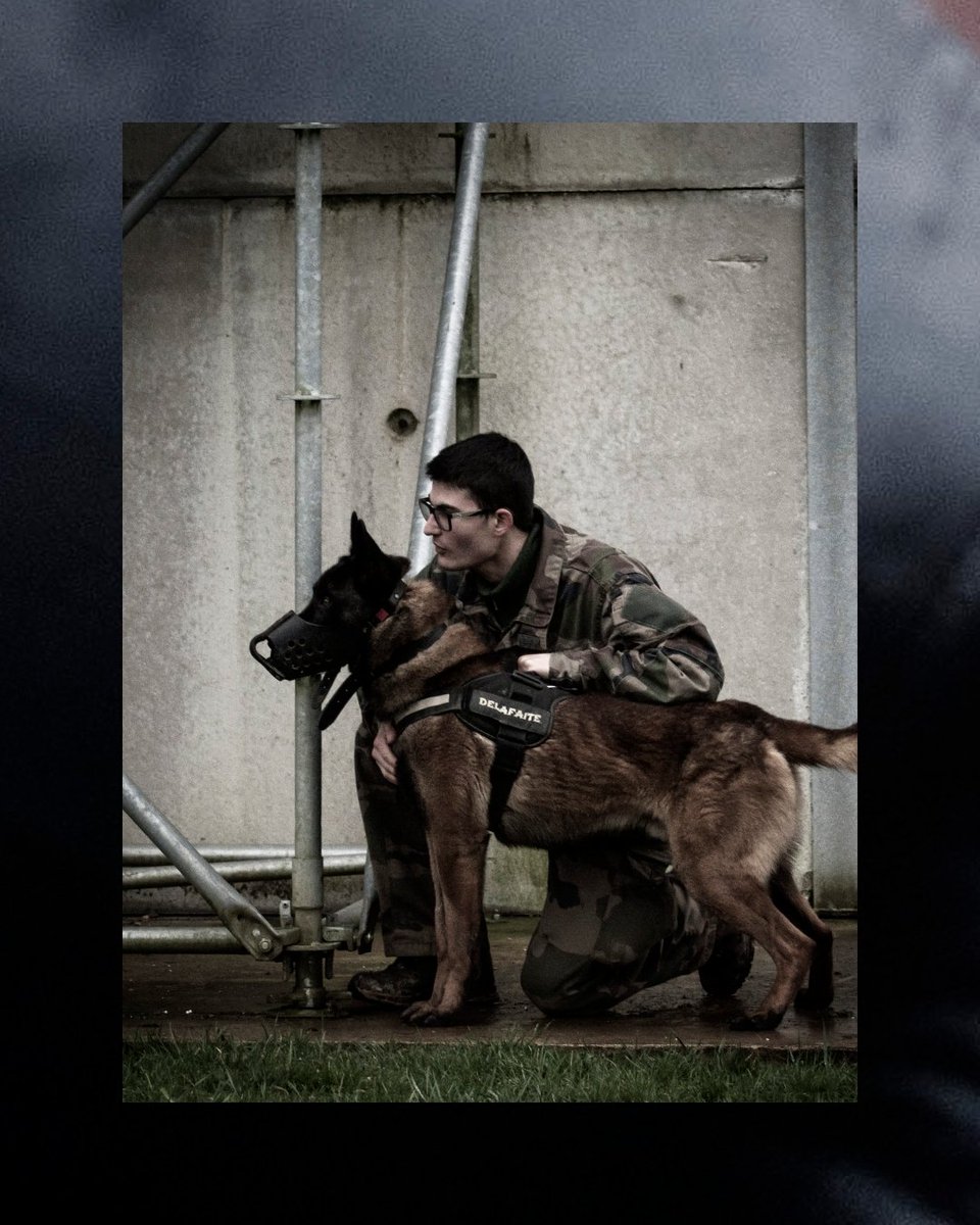 3eRG_Officiel's tweet photo. JOURNÉE MONDIALE DES ANIMAUX • 
Au 3e RG, nos chiens militaires partagent le quotidien de nos sapeurs et travaillent chaque jour aux côtés de leurs équipiers 🐕

Bon dimanche ! 🐶

Ardennes, tiens ferme ! 🇫🇷

@armeedeTerre
@7e_brig_blindee
@armeeszne
@ecolegenie49

#ÀLHonneur https://t.co/CBabbZgLZ7