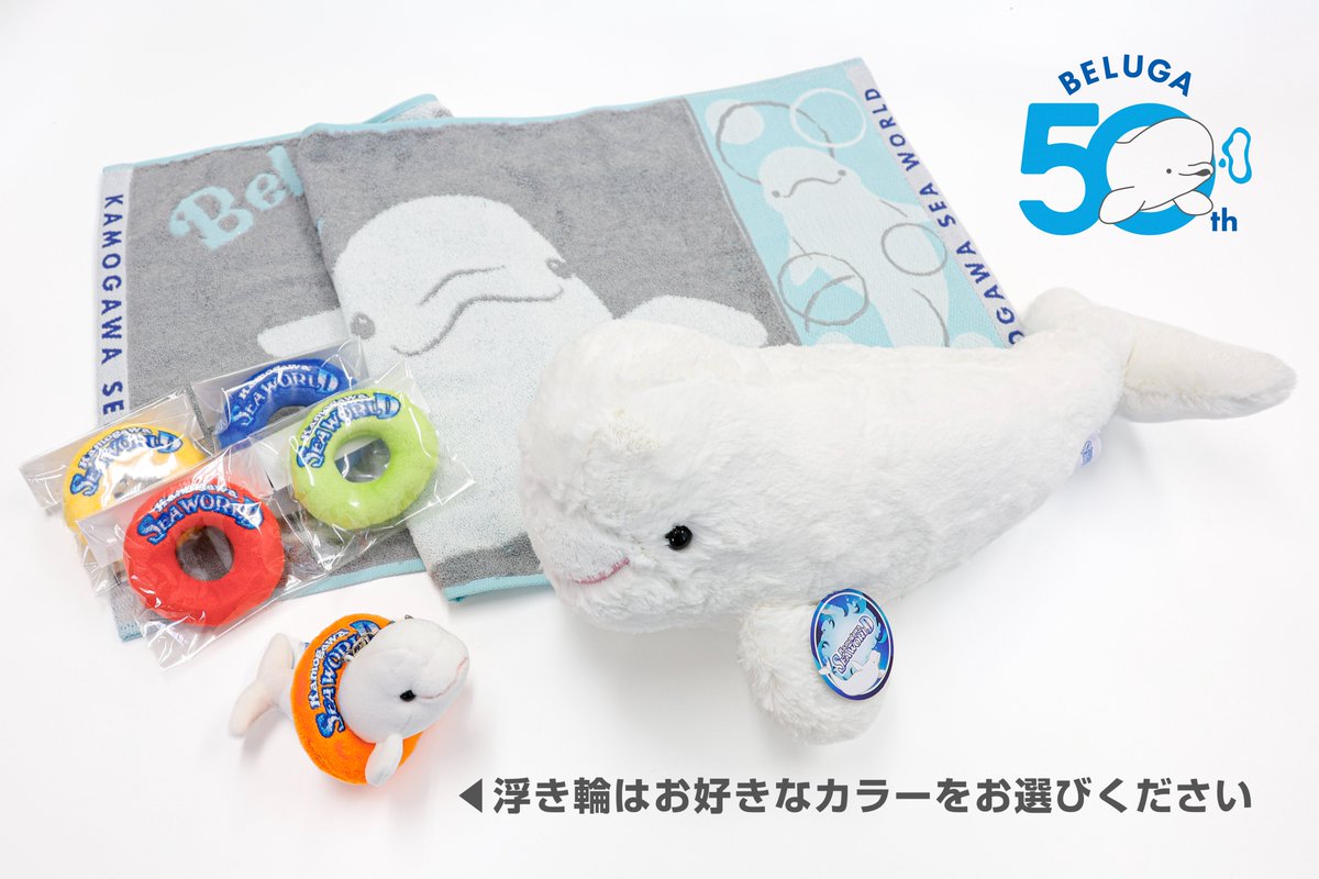 kamoseaOfficial's tweet photo. 【ベルーガ飼育50周年記念】新ホテルプラン登場！！

1部屋につき1セット「ベルーガ」or「シャチ」のグッズが選べるグッズ付きプラン！どちらも人気商品がセットになっているので悩ましい...。

・宿泊特典
【ベルーガ】
①ふわふわベルーガS
②イニシャルベルーガ横
③うきわミニ各種（色を選べます）　
④ベルーガジャガードフェイスタオル
計4点

【シャチ】
①ファスナー付トートバッグ
②スカシマグ（色を選べます）
計2点

勿論、滞在中は鴨川シーワールドへの入館無料！
オフィシャルホテルならではの特権を活かして、体験やグッズに手を伸ばしてみてくださいね！！

https://t.co/cCtRV9cnPK