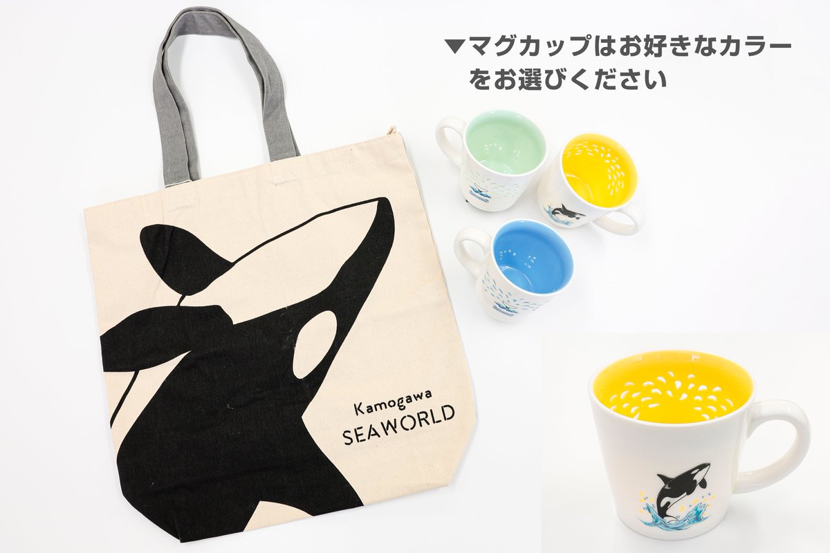 kamoseaOfficial's tweet photo. 【ベルーガ飼育50周年記念】新ホテルプラン登場！！

1部屋につき1セット「ベルーガ」or「シャチ」のグッズが選べるグッズ付きプラン！どちらも人気商品がセットになっているので悩ましい...。

・宿泊特典
【ベルーガ】
①ふわふわベルーガS
②イニシャルベルーガ横
③うきわミニ各種（色を選べます）　
④ベルーガジャガードフェイスタオル
計4点

【シャチ】
①ファスナー付トートバッグ
②スカシマグ（色を選べます）
計2点

勿論、滞在中は鴨川シーワールドへの入館無料！
オフィシャルホテルならではの特権を活かして、体験やグッズに手を伸ばしてみてくださいね！！

https://t.co/cCtRV9cnPK
