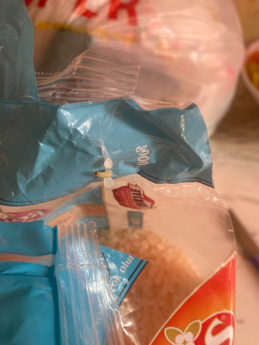 SadeceFenerIcin's tweet photo. Dün marketten @reis_gida marka pirinç aldım. Bugün paketi açtığımda kurtlandığını gördüm. Ürünün son kullanma tarihi de geçmemesine rağmen böyle bir markada böyle bir şeyle karşılaşmak güven kırıcı oldu. https://t.co/q4t8FmSw46
