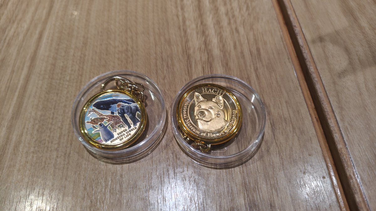 touryu2's tweet photo. 生き物超ワールド展の図録売り切れでした。

な、なな、ななななんですと！？
図録売り切れとは…残念。
しかし、メルカリ要注意かな。

日本館地下にて。
メダルは800円の方。
900円メダルは3種類。
キーホルダーら3つ必要…

そして、小さなメダルを手に入れた。 https://t.co/VNn1FNOc98