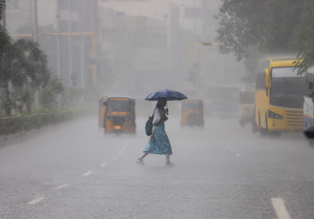 airnewsalerts's tweet photo. India Meteorological Department forecasts heavy #Rainfall🌧️at isolated places over Kerala, Mahe, Tamil Nadu, Puducherry and Karaikal till tomorrow. 

#IMD says that conditions are likely to become favourable for further withdrawal of southwest monsoon from remaining parts of Marathwada and Vidarbha, Maharashtra, Chhattisgarh, Telangana and North interior Karnataka during next two days. 

#IndiaWeather #WeatherForecast