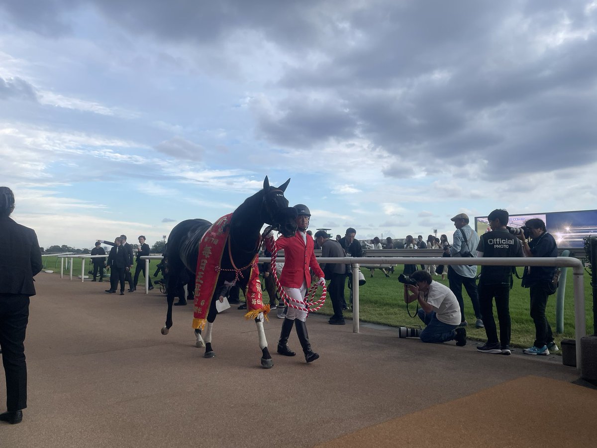 okuoka_'s tweet photo. 毎日王冠を制したセイウンハーデス。闘病を経て、昨日から競馬場に戻ってきたオーナーに白星を贈りました。

西山茂行オーナー「よく届いてくれた。（引退レースへの）あと一戦は天皇賞」。今度はG1のパドックに立てることについては「それが楽しみで生き返ってきました」 https://t.co/XGxUza5tOo
