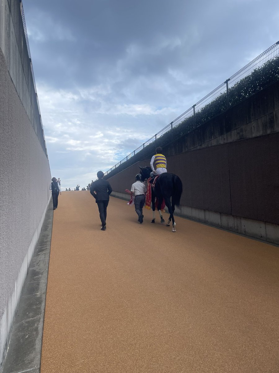 okuoka_'s tweet photo. 毎日王冠を制したセイウンハーデス。闘病を経て、昨日から競馬場に戻ってきたオーナーに白星を贈りました。

西山茂行オーナー「よく届いてくれた。（引退レースへの）あと一戦は天皇賞」。今度はG1のパドックに立てることについては「それが楽しみで生き返ってきました」 https://t.co/XGxUza5tOo