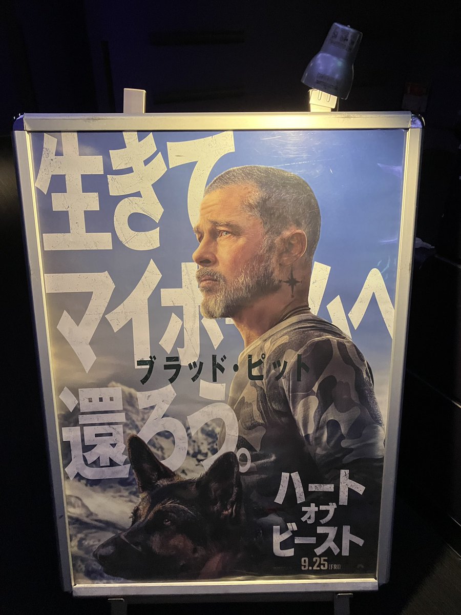 circle_Potion's tweet photo. 『ハート・オブ・ビースト』鑑賞。ブラピ主演のワンワンおU^ェ^Uなワンワンムービー。軍用犬ワンワンであるオーディンと退役軍人の固い絆を描くPTSD映画。映画としてはワンワンが見どころ。そのため、お話や展開は地味。ちょっと退屈だった。字幕は松浦美奈さん。 #1ニーソン https://t.co/02N8gLUi4h