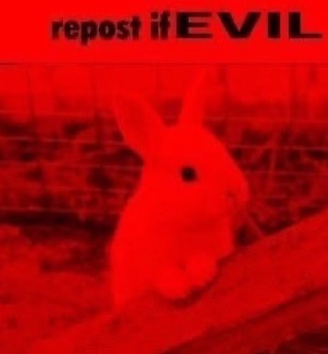 bunnyposting_'s tweet photo. the world made me this way https://t.co/MEFX0YsOAY