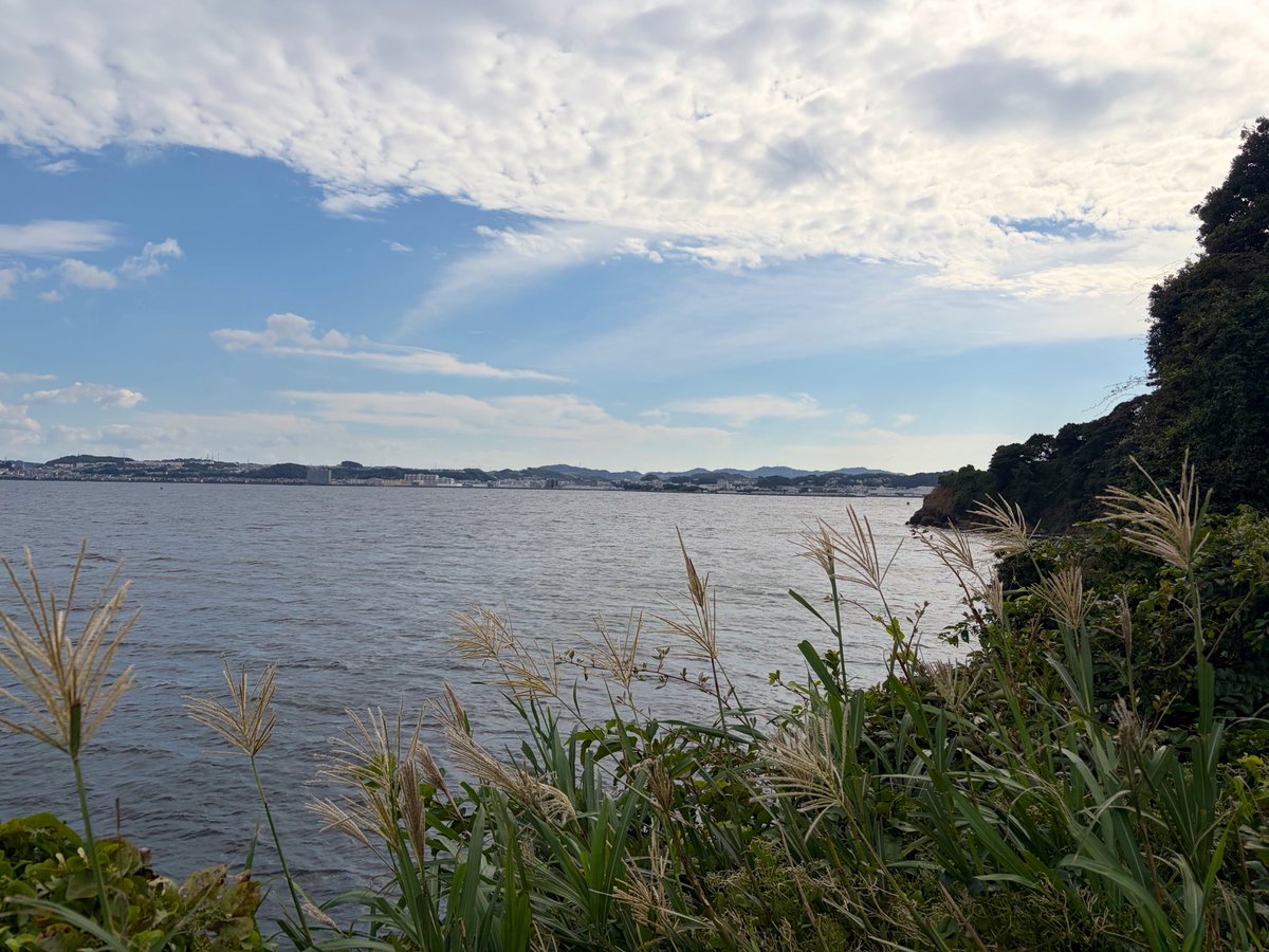 slmn_mofcon's tweet photo. 猿島行ってきた！自分海岸へ観光行きがちな件 https://t.co/5mTbEuhLML