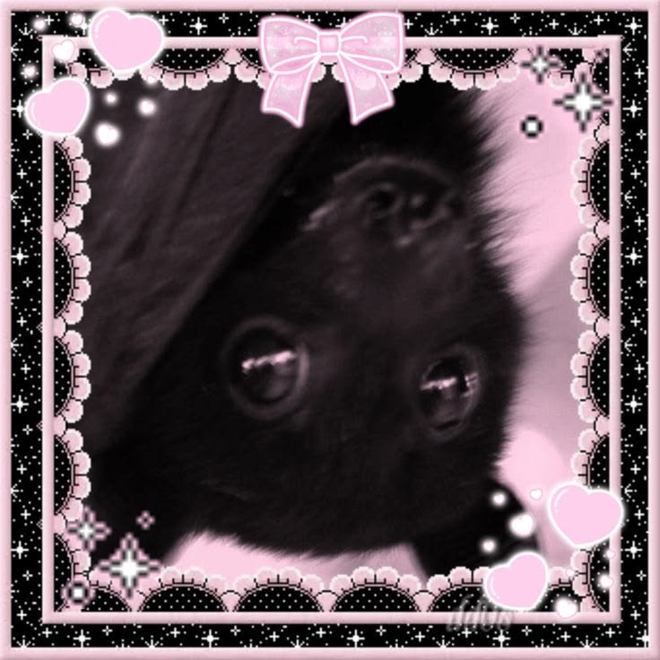 healingbite's tweet photo. ˚ ₊‧ ︵‿₊୨୧₊‿︵ ‧ ˚ ₊
꒰ Hiyaa (＞＜*)ノ~꒱
︶⊹︶︶୨୧︶︶⊹︶

⤷ ♡ / ↻ to be moots  .  ifb
#moothunt #ow #owtwt #babybat
#gamingtwt

⤷ https://t.co/zwKBsUHgKY https://t.co/g5789luxiD