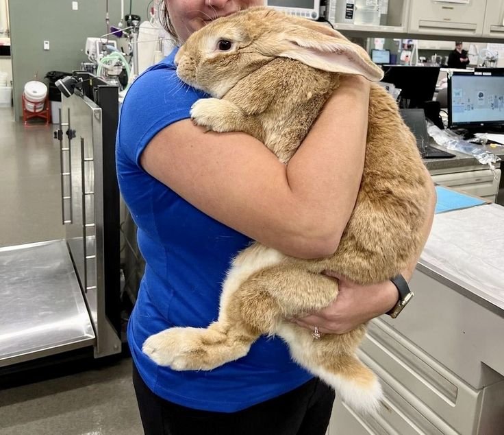 animalpopular9's tweet photo. Big unit https://t.co/CINUkYGA5I