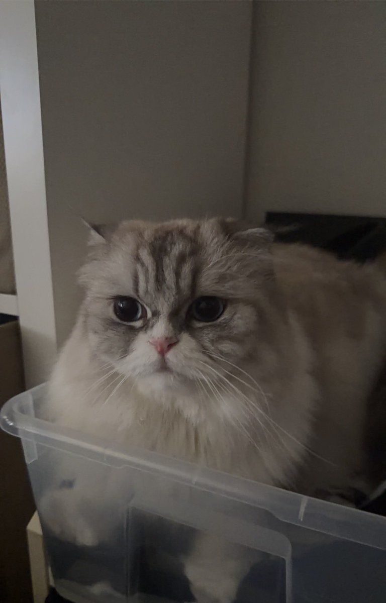 Pundaoofficial's tweet photo. 🏠 [OpenChat] : 🥚 PUNDAO OFFICIAL TH

pundao 🫖 : แอบให้ดูอะไรนิดหน่อย

pundao 🫖 : ตัวอะไรน้าา

🐈🐈‍⬛🐾

https://t.co/fpwKVBNHfw

#Pundao | #พันดาว
#TwinkleofPundao https://t.co/lSyIlMWcr3