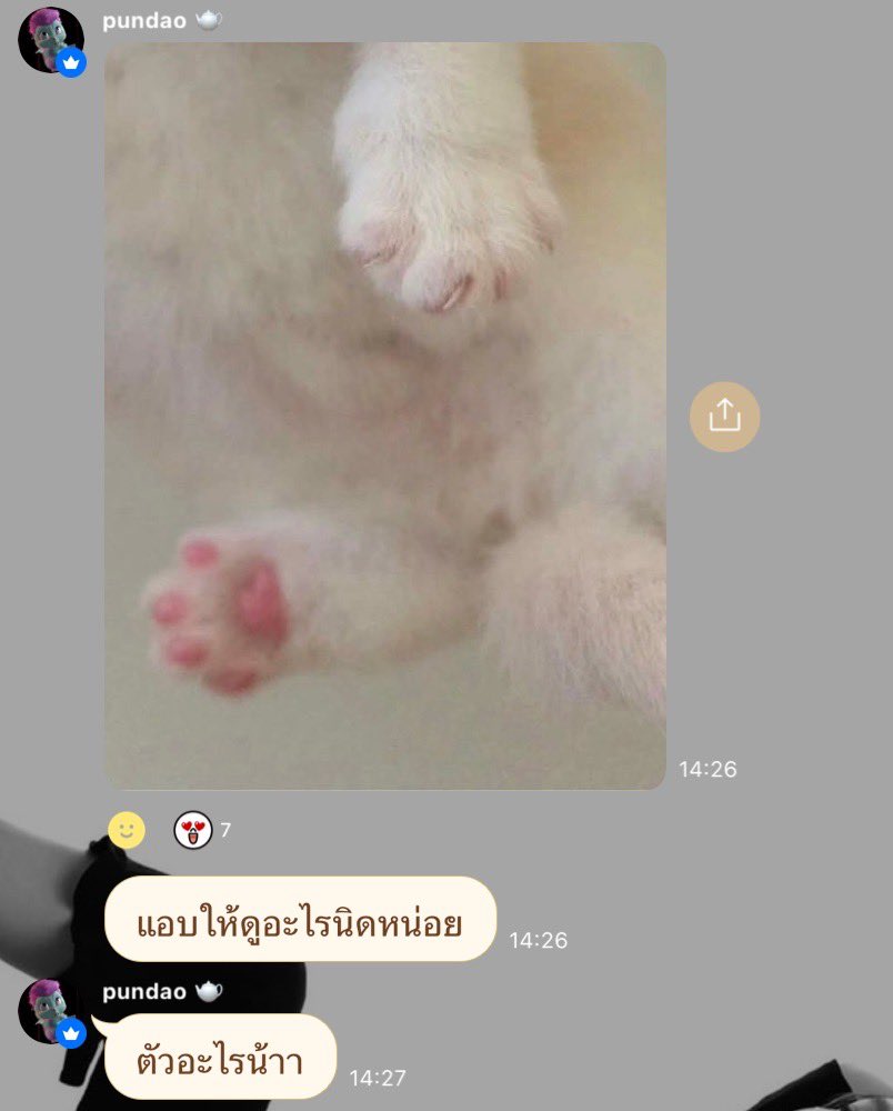 Pundaoofficial's tweet photo. 🏠 [OpenChat] : 🥚 PUNDAO OFFICIAL TH

pundao 🫖 : แอบให้ดูอะไรนิดหน่อย

pundao 🫖 : ตัวอะไรน้าา

🐈🐈‍⬛🐾

https://t.co/fpwKVBNHfw

#Pundao | #พันดาว
#TwinkleofPundao https://t.co/lSyIlMWcr3