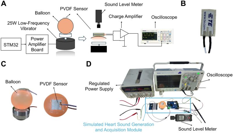 ABMEjournal's tweet photo. Detecting meaningful changes in heart sounds can be technically demanding, and this challenge can limit effective cardiovascular disease monitoring.

Researchers investigated how the design of flexible sensors could improve heart sound detection, focusing on four performance-related factors: area, aspect ratio, thickness, and encapsulation.

Simulations and mechanical testing showed that output generally improved with greater sensor area and polydimethylsiloxane encapsulation, although testing did not always match simulations when researchers varied sensor thickness and aspect ratio. Guided by these findings, the team optimized a flexible sensor and evaluated its performance using simulated heart sounds, where it produced approximately 1.79 times the output voltage of a commercial sensor.

Greater clarity around the influence of key design factors on sensor performance could support more sensitive wearable cardiac monitoring, giving clinicians richer acoustic information to assess heart abnormalities and follow their progression over time.

𝗥𝗲𝗮𝗱 𝗺𝗼𝗿𝗲: https://t.co/QCH9HNnYtb

𝗦𝘁𝘂𝗱𝘆: Correlation Between Structural Parameters and Piezoelectric Performance of PVDF Heart Sound Sensors

𝗔𝘂𝘁𝗵𝗼𝗿𝘀: Ke Wang, Ruiqiang Zheng, Rongguo Yan, Shoucheng Chen, and Wenjing Du

𝗦𝘂𝗯𝗺𝗶𝘁 𝘆𝗼𝘂𝗿 𝗺𝗮𝗻𝘂𝘀𝗰𝗿𝗶𝗽𝘁: https://t.co/Gyz8DNneUg