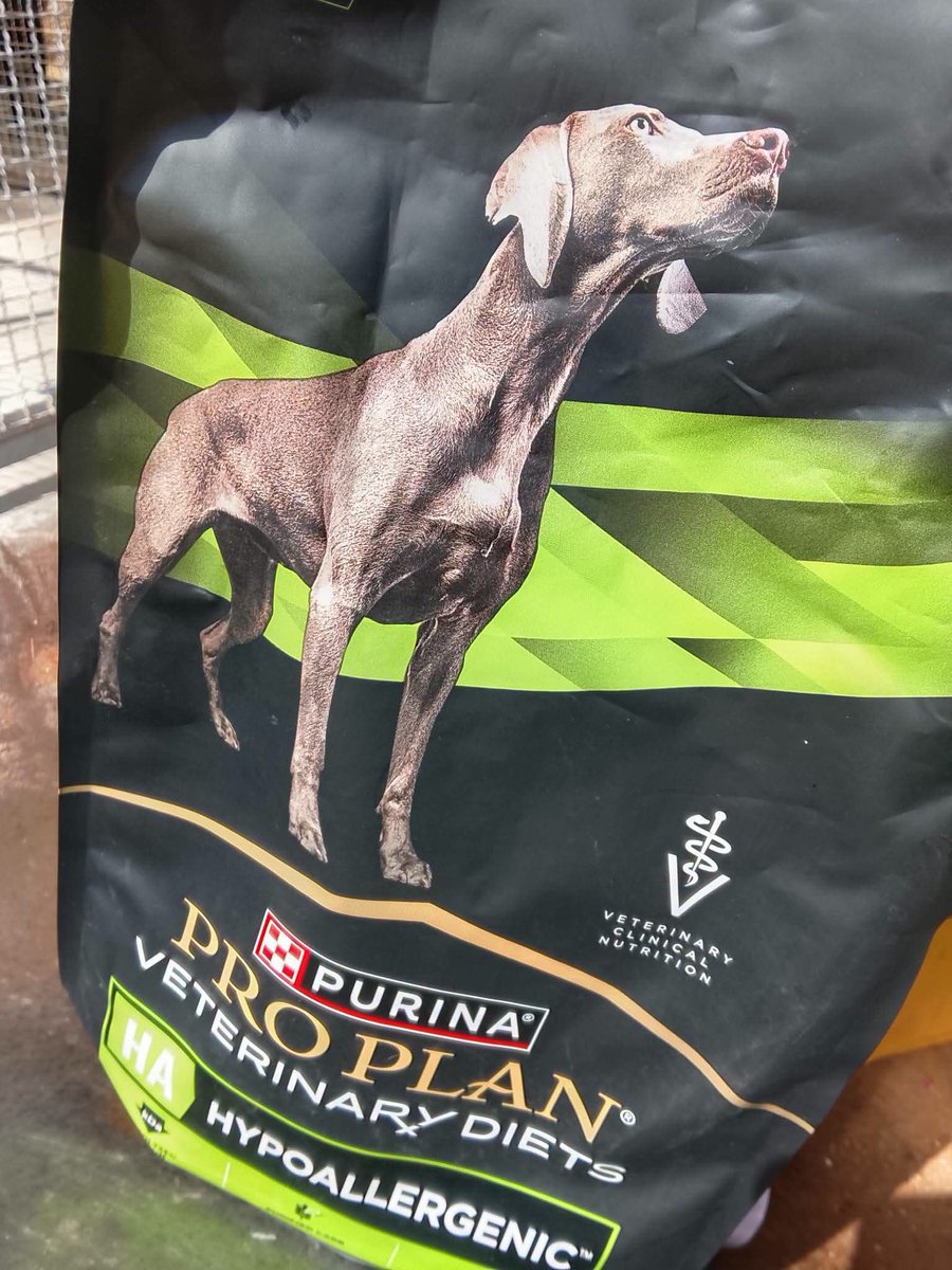 francycognato's tweet photo. AIUTO PER NAMI🙏🏻
per stare meglio ha bisogno di queste crocchette 

Potete aiutarci acquistando dalla lista Amazon oppure inviando direttamente il cibo al rifugio
Grazie 🙏🏻

https://t.co/RReWafETJI

Indirizzo:
Francesca Cognato 
Via Valenza, 38
90126 Palermo
Cell. 3382506451 https://t.co/z2EOcBs7ev