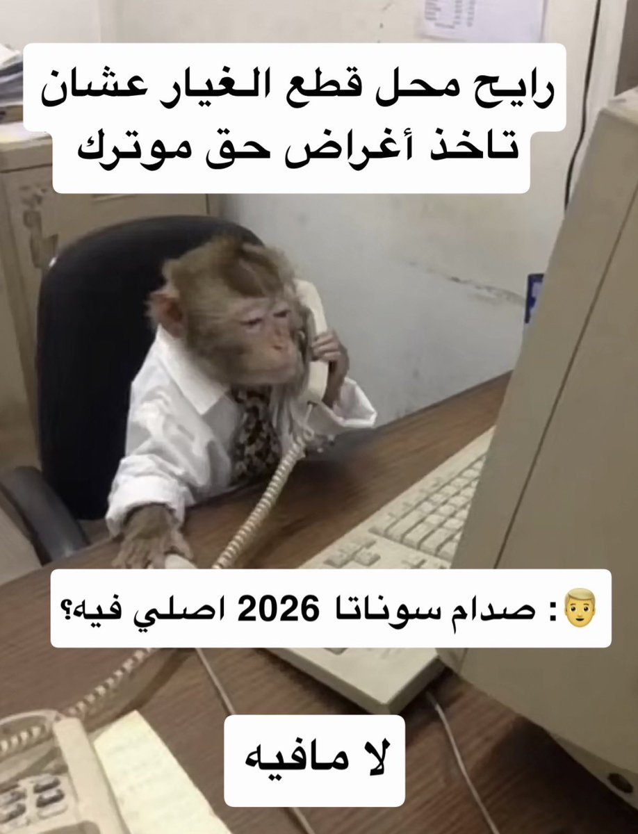 monkeyofthe tweet picture