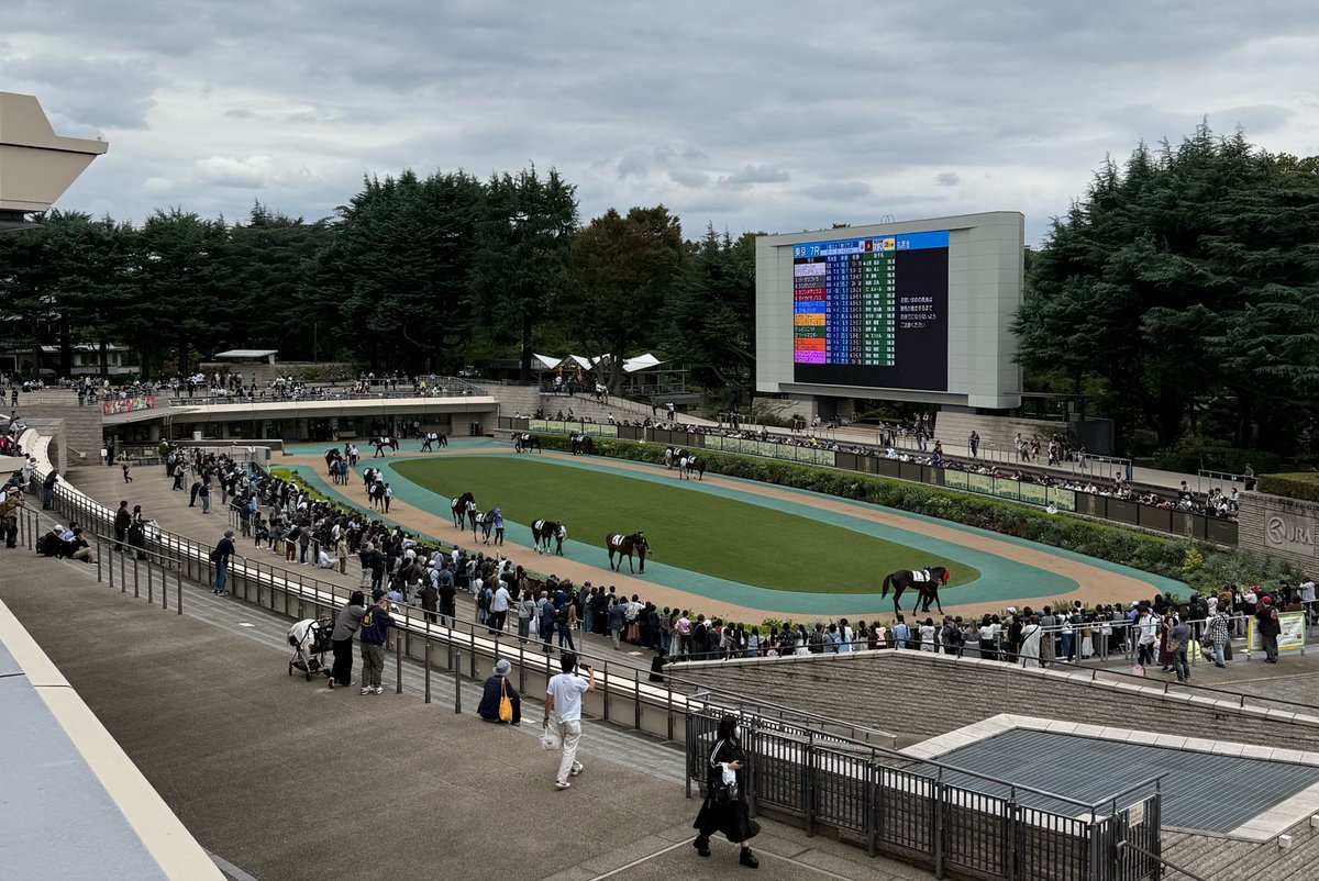 megane5151's tweet photo. 🐎✨
＃東京競馬場
＃毎日王冠👑 https://t.co/G5oOFuU8Kg