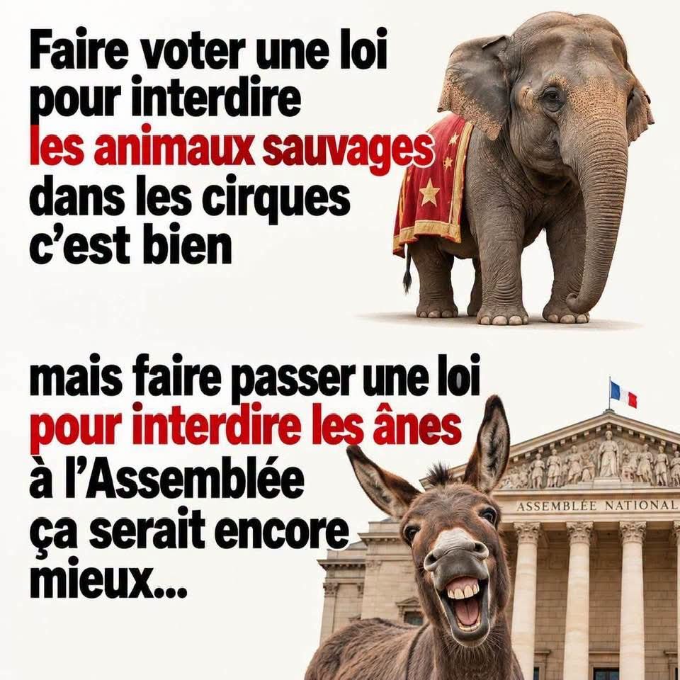 MaryMbois's tweet photo. "Juste" pour rire...! https://t.co/VHvTObuuGR