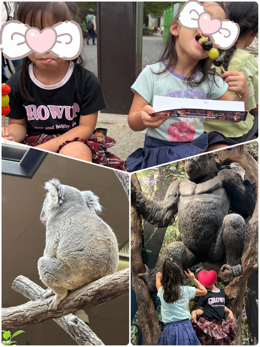 LoveSwear's tweet photo. 今日は半年に1回ペースで来てる動物園DAY🐘
子どもたちの楽しみの１つでもあるフルーツ飴🍓��
歯に飴がくっついて苦戦する長女と幸せそうに食べる次女👧笑

動物さんたちにたくさん癒された🥰
コアラはもうぬいぐるみにしか見えなくて可愛すぎた💕 https://t.co/tUUkjfMx3O