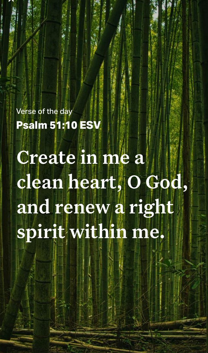 simply_dominion's tweet photo. Happy Sunday ✝️🌈❤️ https://t.co/tit48hYned