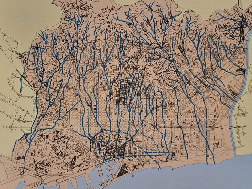 ElGatSaberut's tweet photo. La ciutat de Barcelona està situada entre la muntanya i la Mediterrània. Per tant, antigament, l’aigua de pluja que queia a Collserola baixava per gravetat pels pendents, concentrant-se en petites valls i depressions. Algunes rieres tenien un cabal molt irregular. Podien estar pràcticament seques durant setmanes o mesos i convertir-se en autèntics corrents d’aigua durant un episodi de pluja intensa.  

A mesura que Barcelona creixia, moltes rieres es van canalitzar, cobrir o integrar dins de la trama urbana. En alguns casos, el seu recorregut va acabar convertit en un carrer; en d'altres, va quedar sota edificis, places o infraestructures. 

Per això algunes formes aparentment arbitràries de la ciutat actual tenen un origen hidrològic. Quan una riera travessa un territori, no segueix una quadrícula perfecta; serpenteja seguint el relleu. Quan posteriorment s'urbanitza aquell espai, la trama dels carrers pot acabar conservant parcialment aquella sinuositat.

Barcelona no va eliminar completament les seves rieres. En bona part, simplement les va amagar sota la ciutat.

Comparteix i segueix-me 🔄🔥