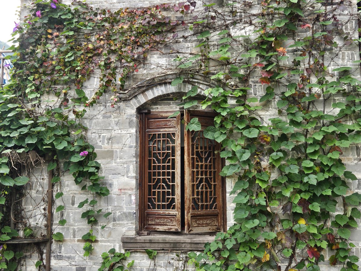 yuqquH9500VRDuS's tweet photo. In this quiet nook, ancient cypresses stand towering, and the shadow of a corner structure lingers gently by the roadside. https://t.co/CWCzgeS2Of